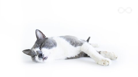 Relax Like a Pro: 2 Hours of Silent Piano Music / Stress Relief & Calming Down 🎹 Non-AI Music