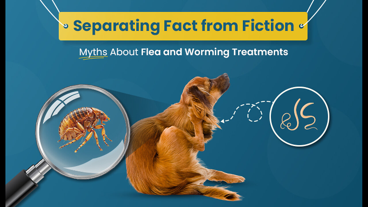 Myths and Facts about Flea and Worming Treatment