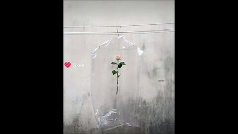 ভিতরের দুঃখকে ঢাকতে গিয়ে বাইরের হাসিটাও আজকাল ক্লান্ত হয়ে যায়...।