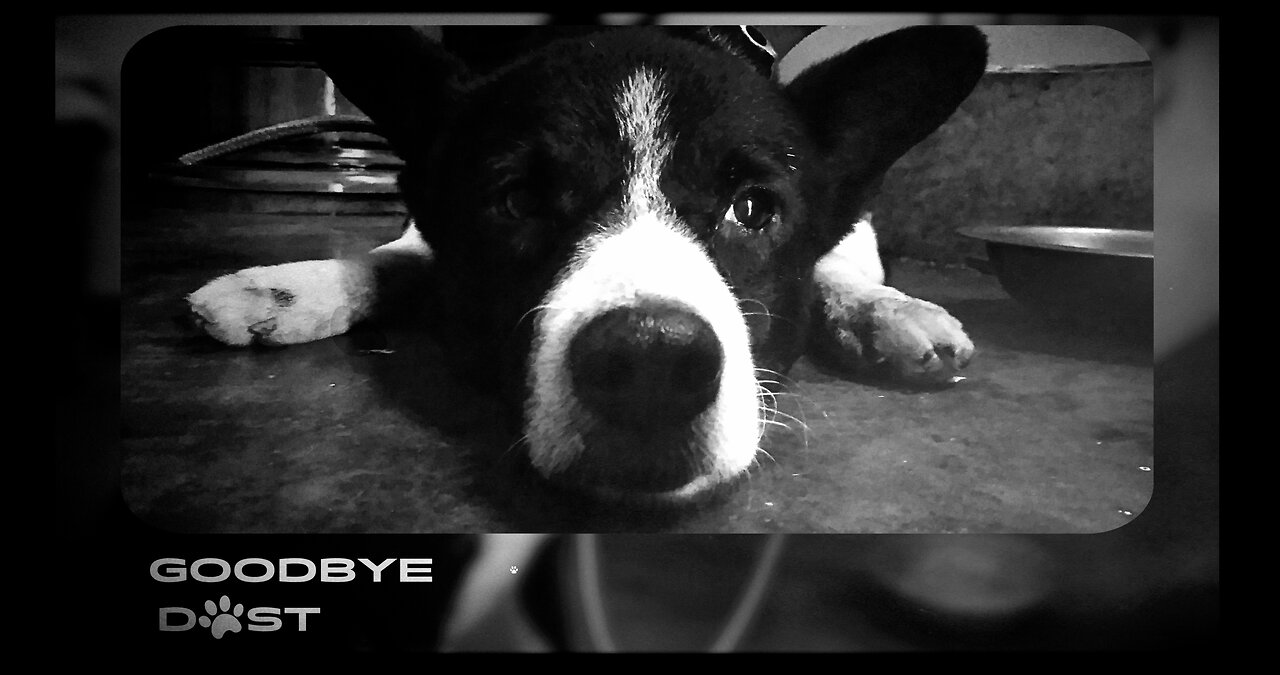 Goodbye Dost (Official Video) | Rudraksh ASV | Friendship Song 2025 | Hindi Song | KONA