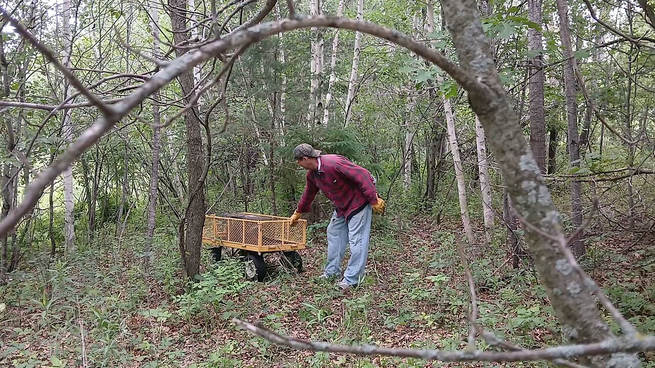 Raccoons are fun.