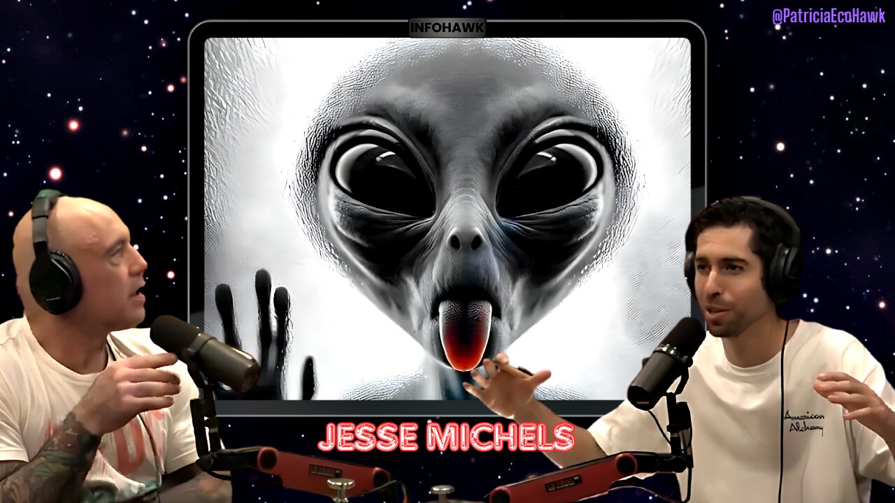 Joe Rogan Experience #2331 🛸👽 Jesse Michels | UFO's & Alien's