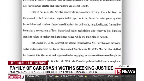 Guilty Except Insane’ plea