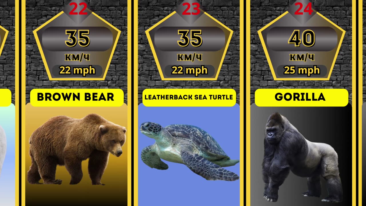The Fastest Animals In The World