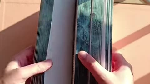 Painted Book Reveal