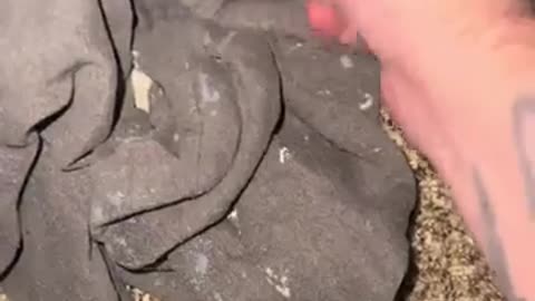 Man Shows Mandela Effects! Is it real??