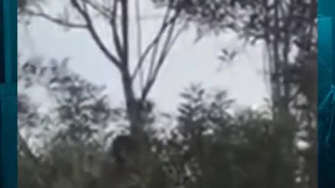 😈👻 Demonic Possession Caught on Camera! Will You Believe It? | TheHauntingHour