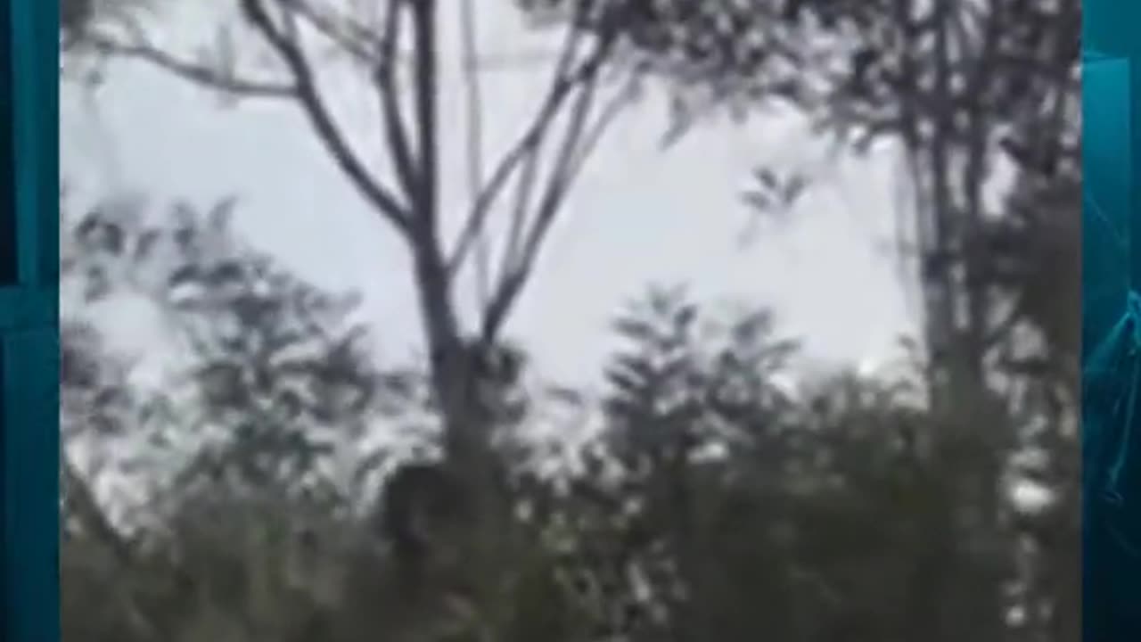 😈👻 Demonic Possession Caught on Camera! Will You Believe It? | TheHauntingHour