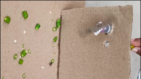 How make chilly Cutting Machine in home science tech project