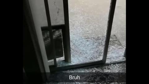 Funny animal video 😂🤣.