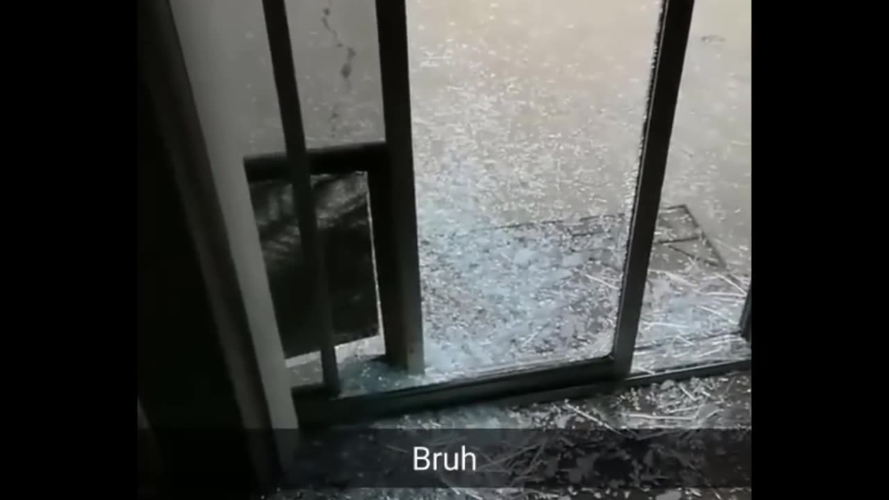 Funny animal video 😂🤣.