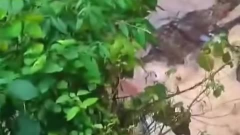 "Bike Swept Away by Flash Flood – Shocking Road Accident!"