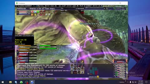 Playing Final Fantasy XI Online