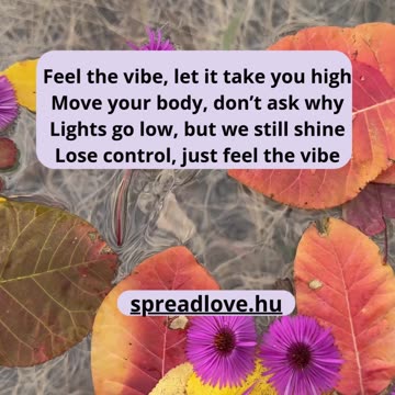 🎬 Feel the Vibe – Just Let It Flow