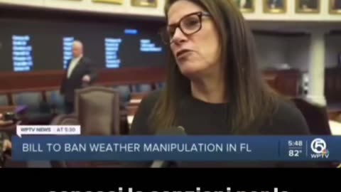 FLORIDA VIETA LA GEOINGEGNERIA