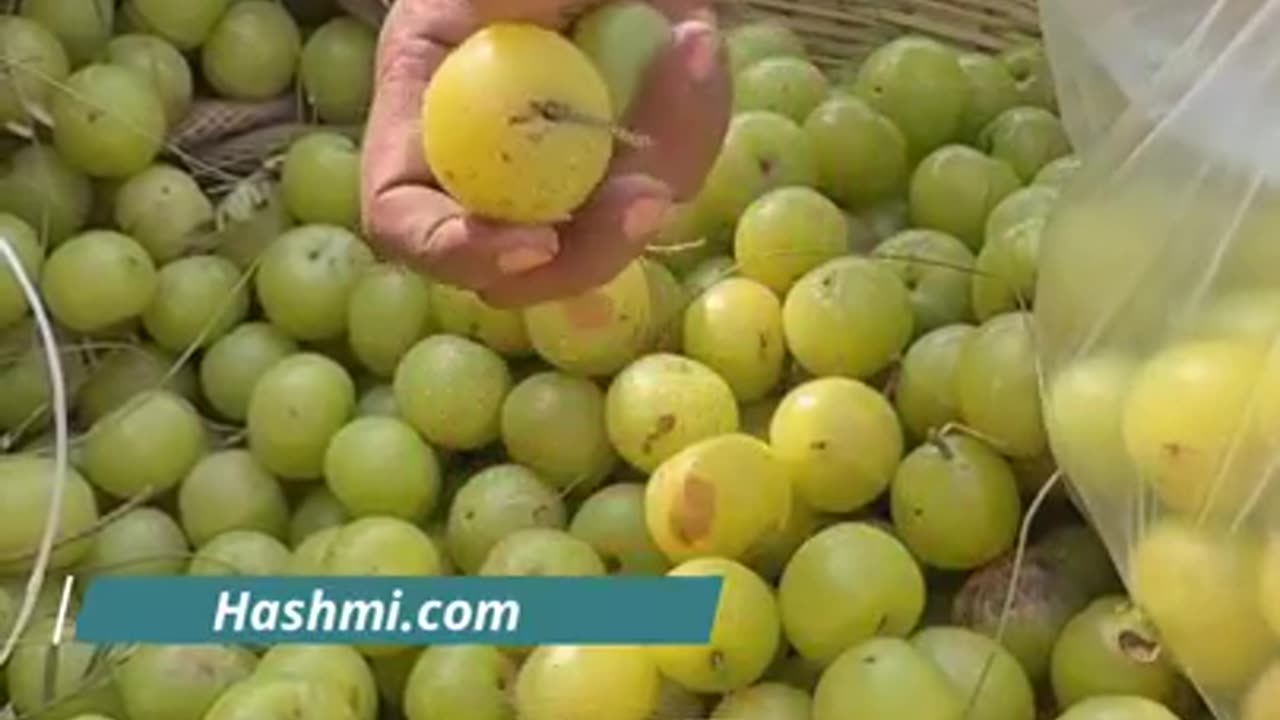 Benefits of Amla on empty stomach
