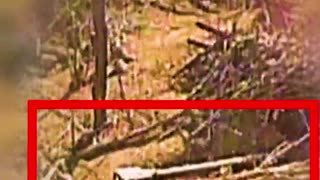 🚁🔫 Ukraine Russia War | Asgard Unit Strikes Russian Artillery with FPV Drones | RCF