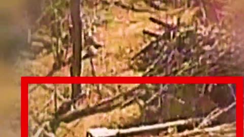 🚁🔫 Ukraine Russia War | Asgard Unit Strikes Russian Artillery with FPV Drones | RCF