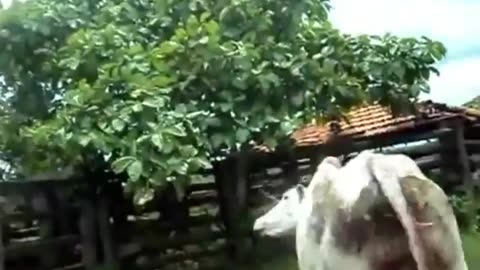 😠😈 Don't You Dare Touch! | FunFM