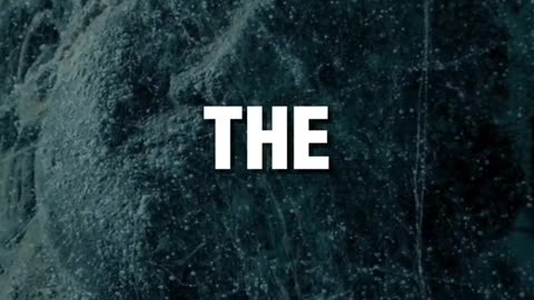 Dates Through the Ages; The Evolution of the Calenda