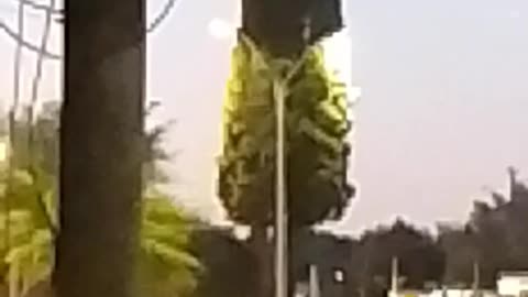 Los muchachos de la comparsa están por ensayar - Tacuarembó 12/12/2025