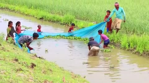 Village Net Fishing