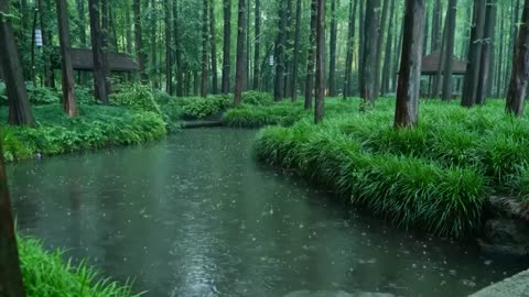 The beautiful little river is raining