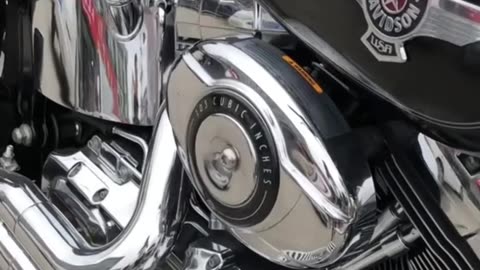 harley fat boys