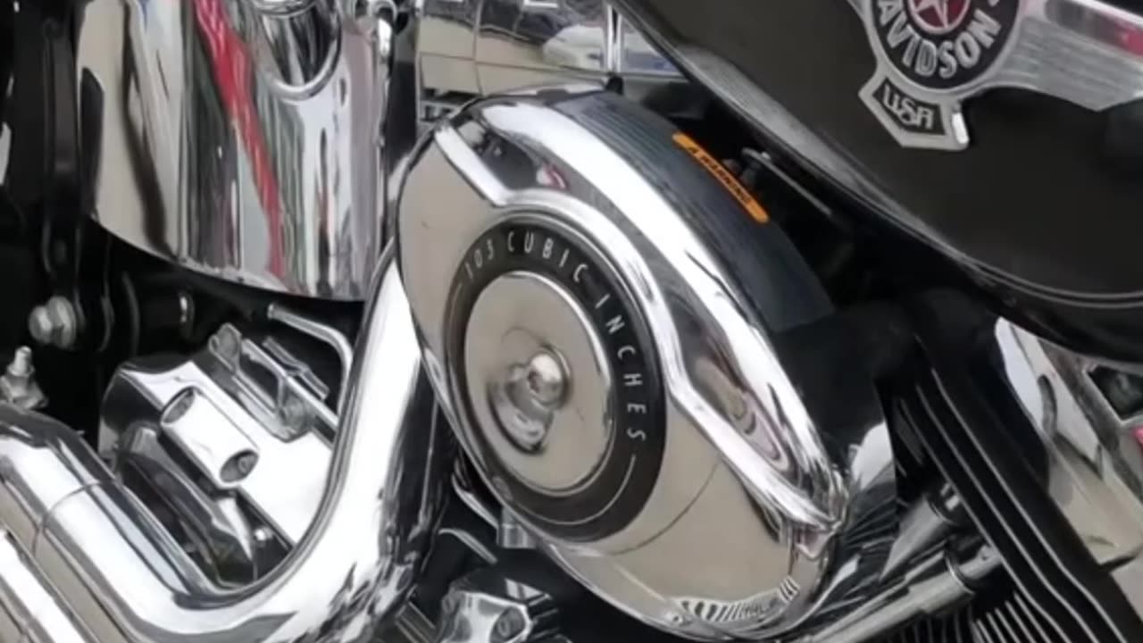 harley fat boys