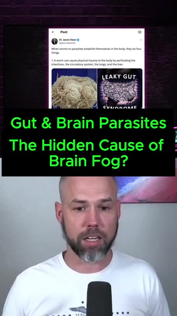 Gut & Brain Parasites - The Hidden Cause of Brain Fog?