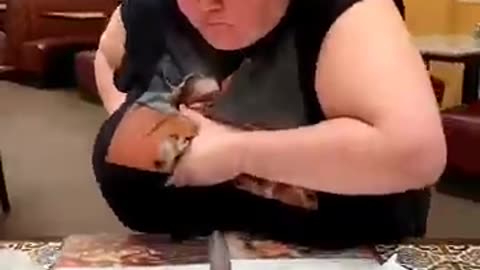 Funny Video PT 03