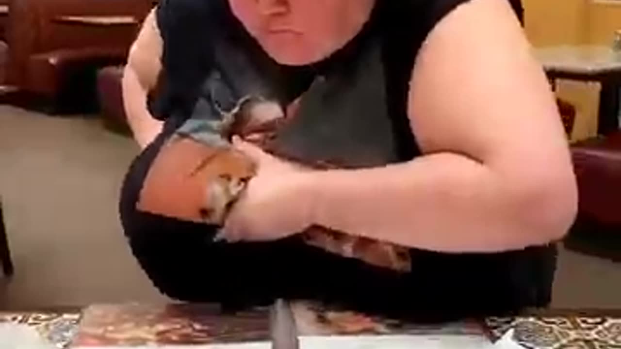 Funny Video PT 03
