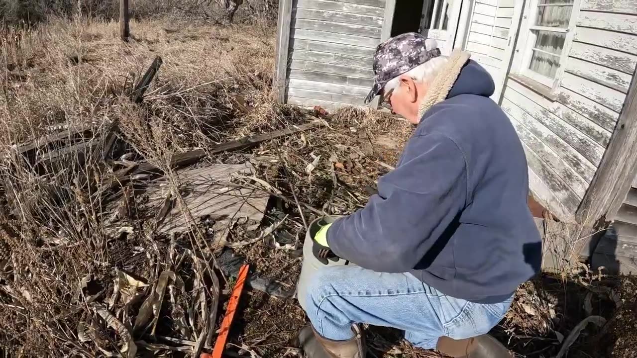 Sprayed By Skunk