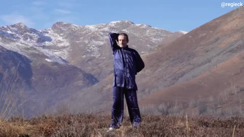 25 MIN FULL BODY TAI CHI STRETCHING EXERCISES by the Dragonsc