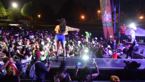 FroRibbean Fest 2019 (Patrice Roberts performance)