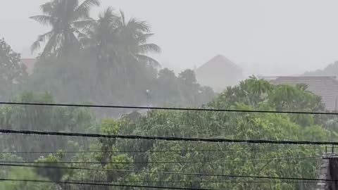 rain of sadness