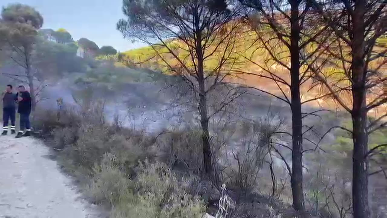 Zjarri shkrumbon kodrat e Belishovës në Fier