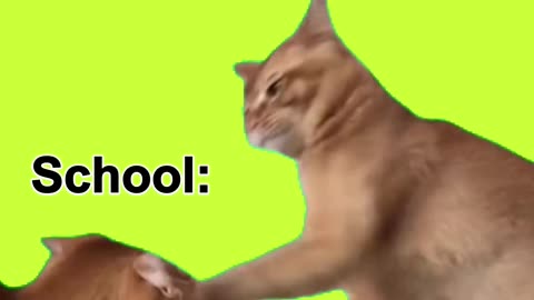 Every Sunday: KIDS vs SCHOOL