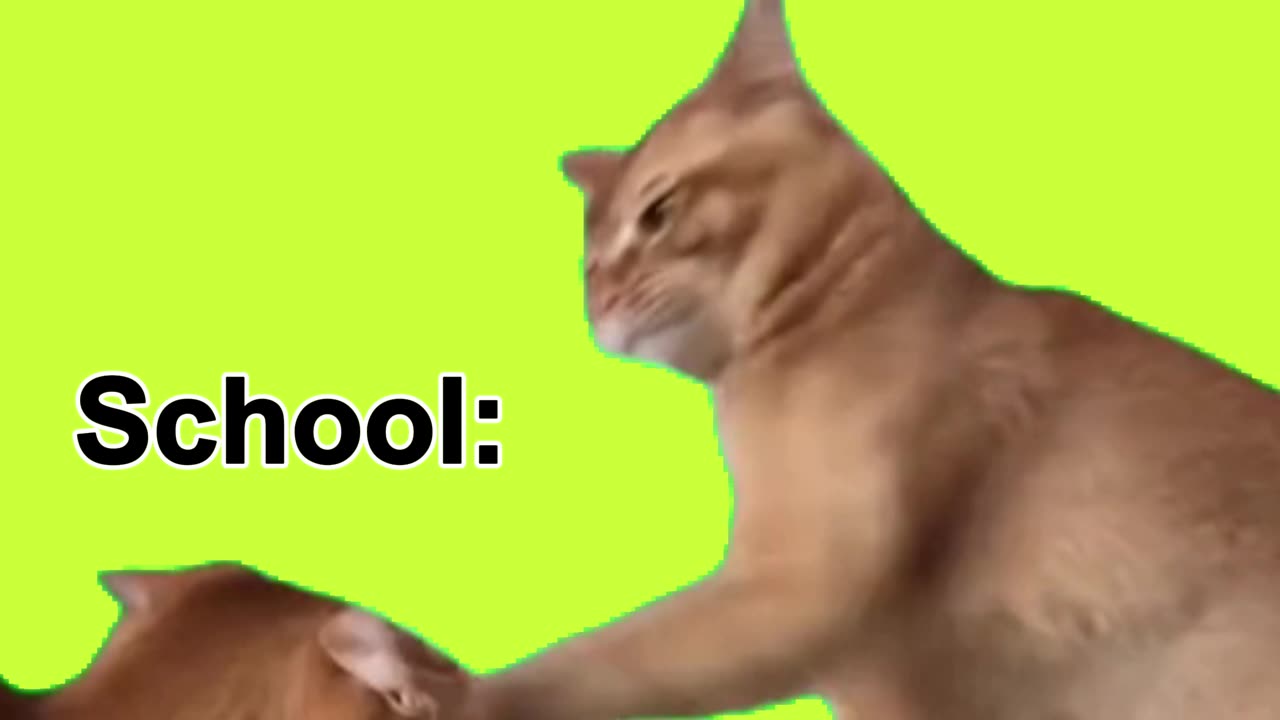 Every Sunday: KIDS vs SCHOOL