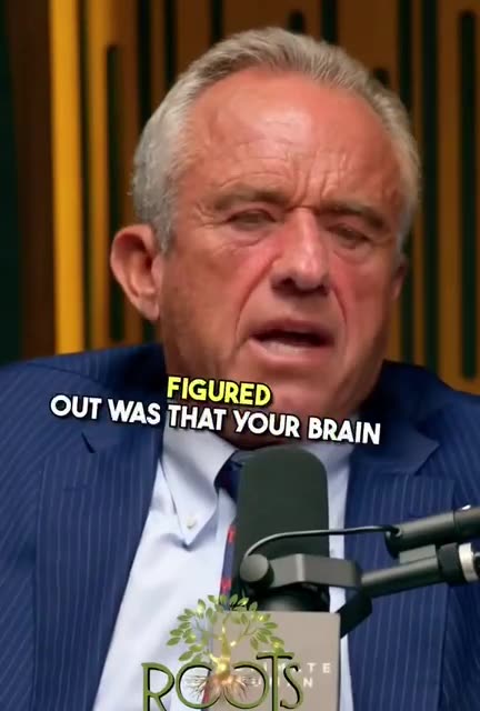 They also put stuff in food that deliberately tricked your brain