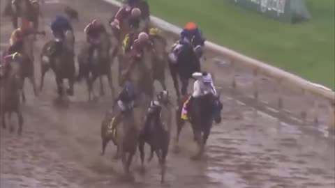 A horse named “Sovereignty” won the Kentucky Derby over “Journalism”.