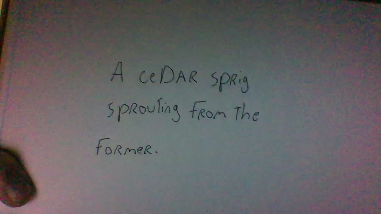 "A Cedar Sprig" | A Poem | #shorts