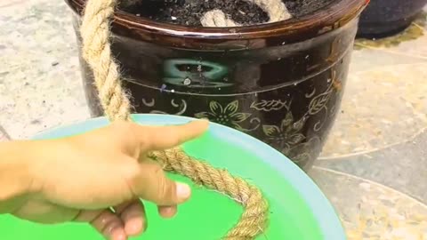 सिंचाई के लिए उपयुक्त 2