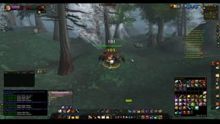 Turtle wow - The new server Ambershire - Paladin POV - Gilneas custom map - part 3