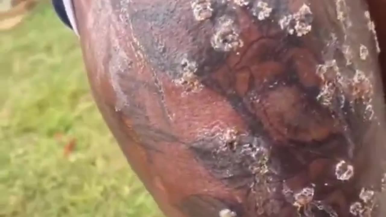 That doesn't look good