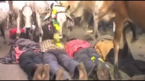 Indian Ritual - viewer discretion advised -