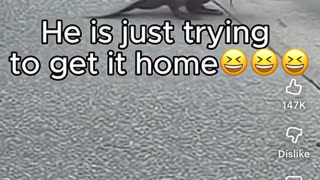 🤣🔧 A Master Engineer at Work — You Have to See This! | FunFM