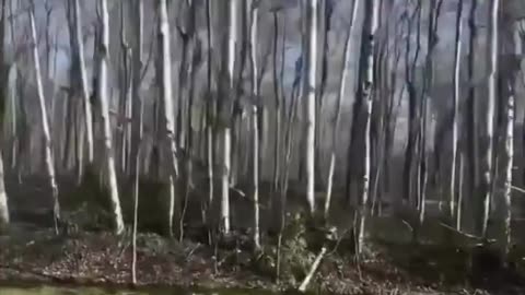 EXPOSING A PEDOPHILE RING -NEW PEDO ISLAND NOT EPSTEIN