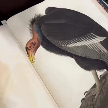 A GIANT BOOK FOR A GIANT PERSON