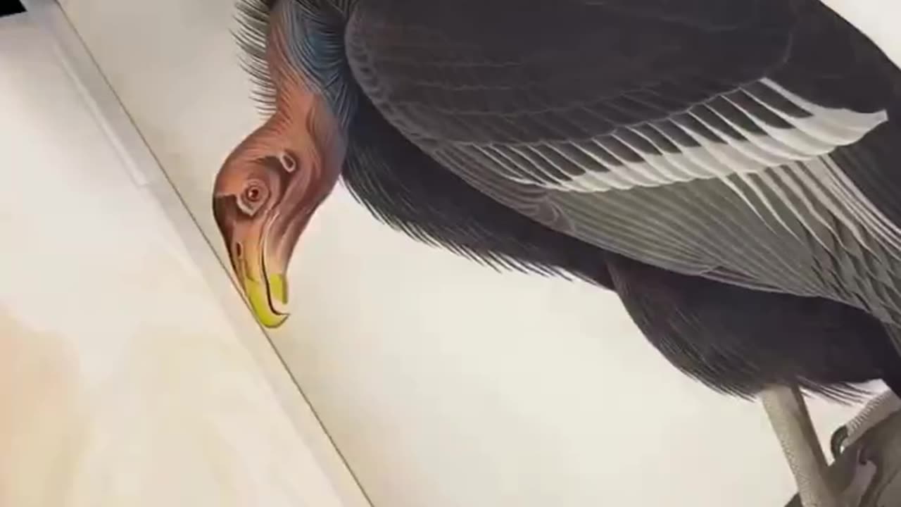 A GIANT BOOK FOR A GIANT PERSON